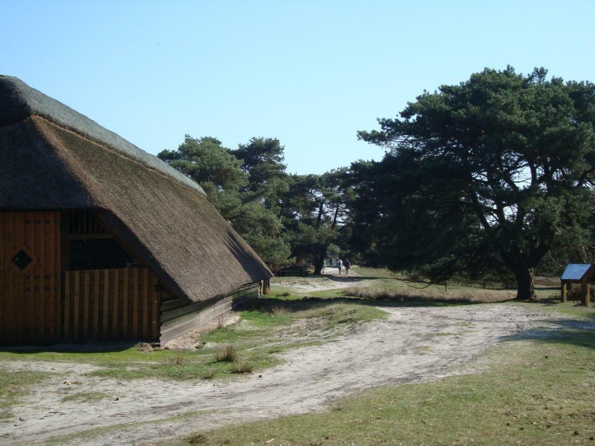 Strandlust II Petersfeld Екстериор снимка